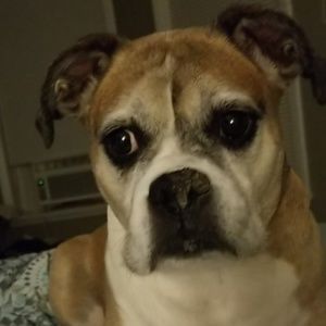 Meet your Posher, Jenna